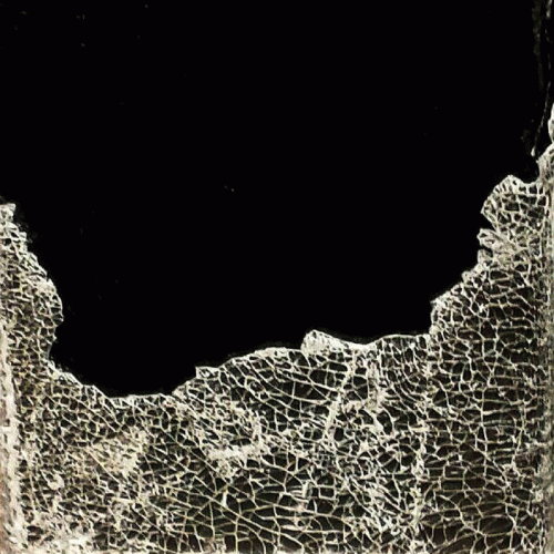 Sarin (CAN) : House of Leaves